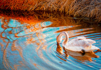Swan Painting Altered