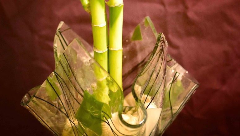 Bamboo In Fused Glass Vase
