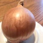 agingschmaging onion