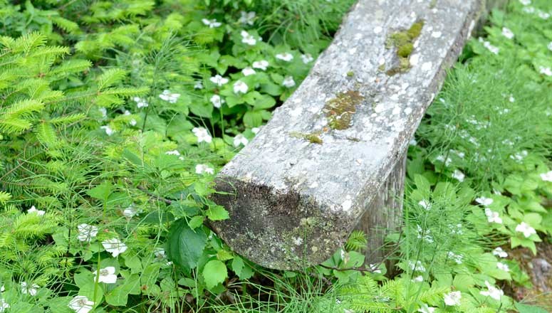log-bench